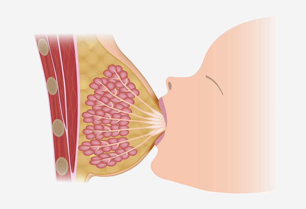 Gangguan Refleks Pengeluaran ASI